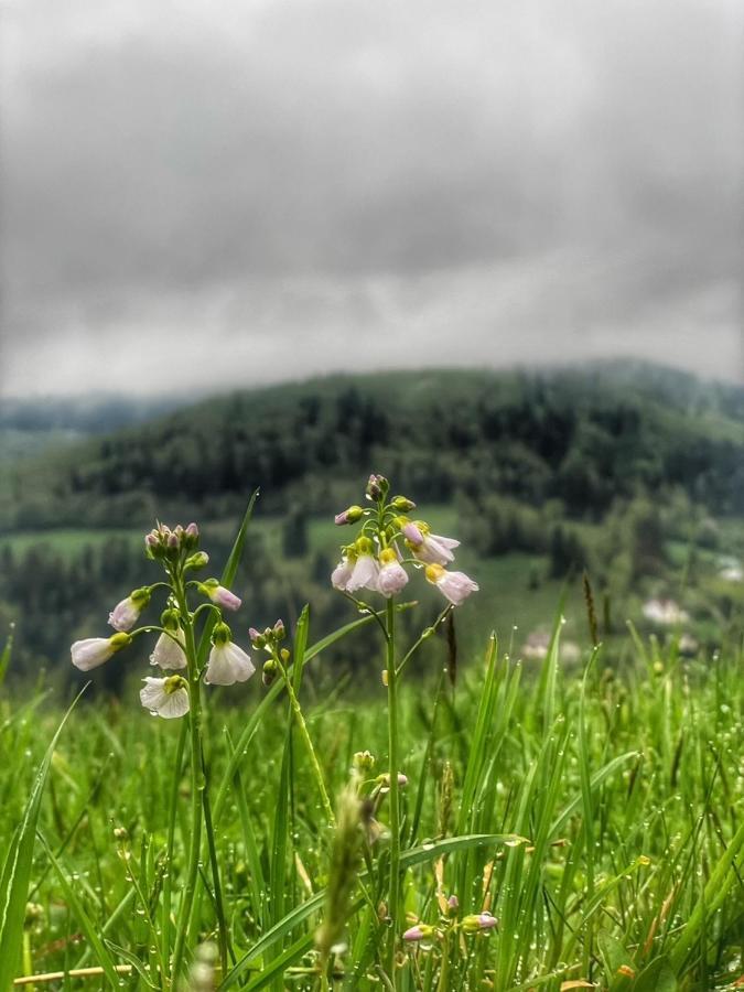 Appartamento Przy Stoku I Potoku Wisła Esterno foto